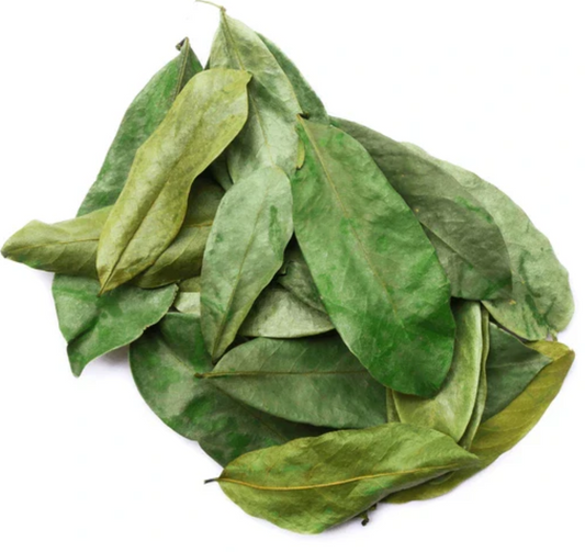 Soursop Leaves